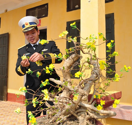 Xuân về trên đảo Bạch Long Vĩ